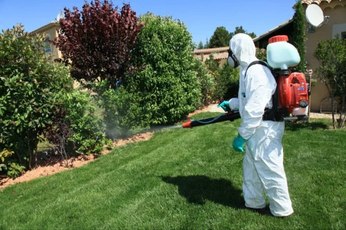 Magnolia Mosquito Control