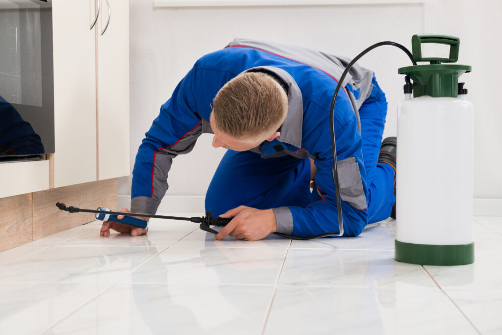 Spring Ant Control Xperts