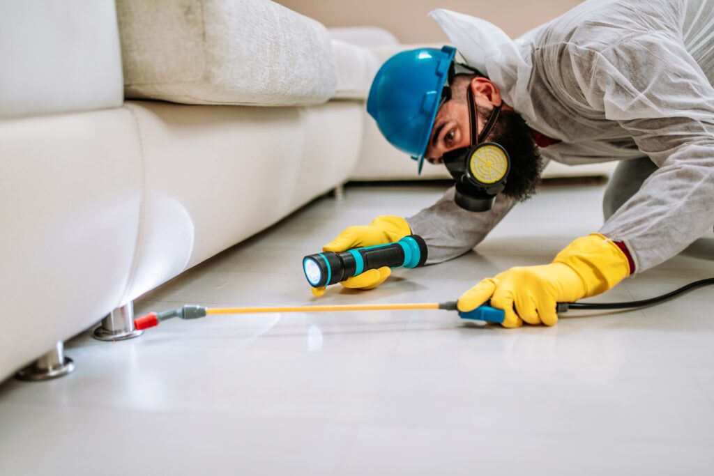 Hempstead Termite Control