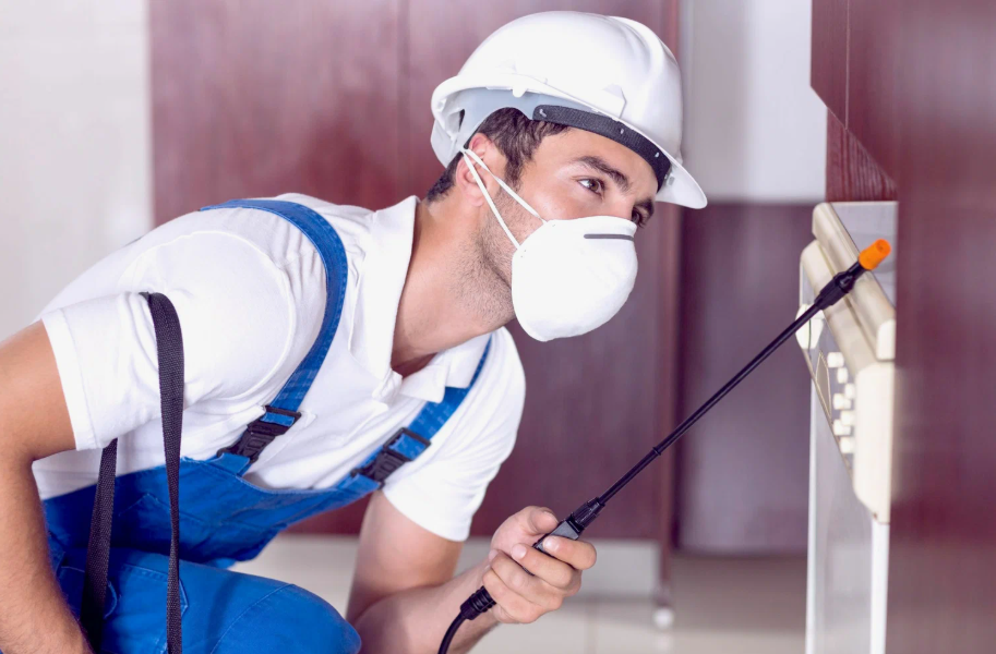 Tomball local pest services