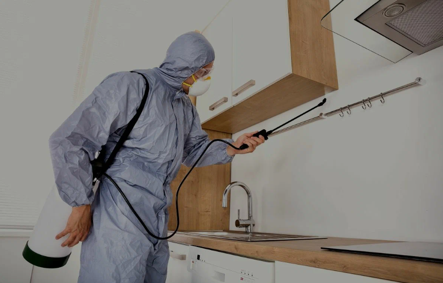 Humble pest managment
